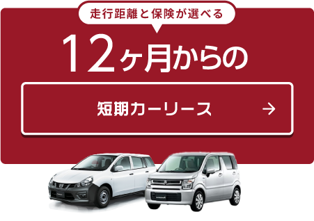 12ヶ月からの短期カーリース